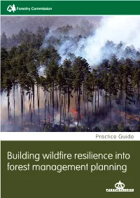 Building Wildfire Resilience Into Forest Management Planning