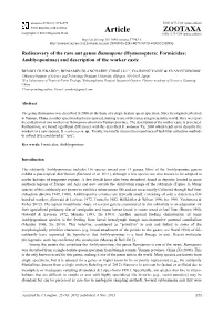 Hymenoptera: Formicidae: Amblyoponinae) and Description of the Worker Caste