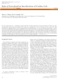 Role of Notochord in Specification of Cardiac Left-Right Orientation In