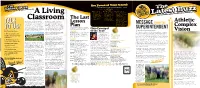 Alumni Newsletter Summer 20