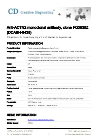 Anti-ACTN2 Monoclonal Antibody, Clone FQ3630Z (DCABH-9438) This Product Is for Research Use Only and Is Not Intended for Diagnostic Use