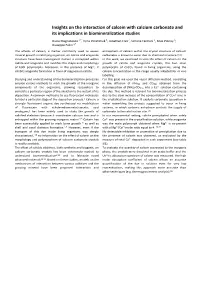 Insights on the Interaction of Calcein with Calcium Carbonate and Its Implications in Biomineralization Studies