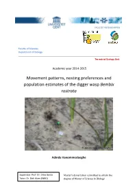 Mobility and Habitat Use of the Common European Sand Wasp