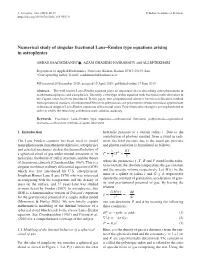 Numerical Study of Singular Fractional Lane–Emden Type Equations Arising in Astrophysics