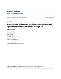 Bioluminescent Flashes Drive Nighttime Schooling Behavior and Synchronized Swimming Dynamics in Flashlight Fish