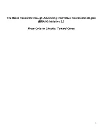 Brain Research Through Advancing Innovative Neurotechnologies (BRAIN) Initiative 2.0
