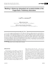 Geo.Acta Vol 2(2)