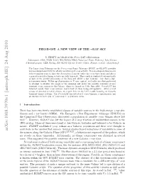 Fermi-Gst: a New View of the Gamma-Ray