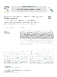 Phylogenomics and Evolution of Floral Traits in the Neotropical Tribe