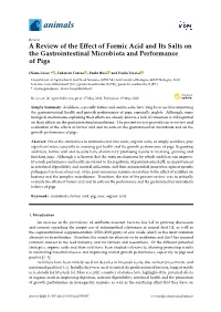 A Review of the Effect of Formic Acid and Its Salts on the Gastrointestinal