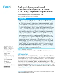 Analysis of Close Associations of Uropod-Associated Proteins in Human T-Cells Using the Proximity Ligation Assay