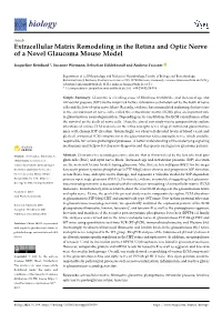 Extracellular Matrix Remodeling in the Retina and Optic Nerve of a Novel Glaucoma Mouse Model
