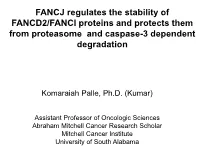 FANCJ Regulates the Stability of FANCD2/FANCI Proteins and Protects Them from Proteasome and Caspase-3 Dependent Degradation