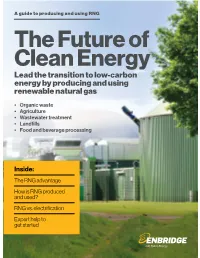 Lead the Transition to Low-Carbon Energy by Producing and Using Renewable Natural Gas
