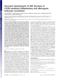 Structural Determinants of MIF Functions in CXCR2-Mediated Inflammatory and Atherogenic Leukocyte Recruitment