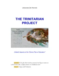 The Trinitarian Project