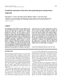 Coordinate Expression of the Three Zona Pellucida Genes During Mouse Oogenesis