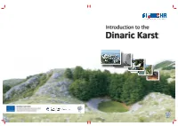 Introduction to the Dinaric Karst