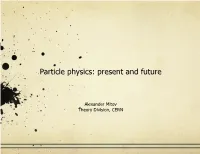 Particle Physics: Present and Future