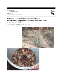 Assessment and Classification of Invertebrate Biodiversity Within Shenandoah National Park