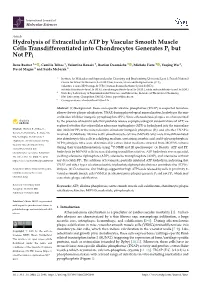 Hydrolysis of Extracellular ATP by Vascular Smooth Muscle Cells Transdifferentiated Into Chondrocytes Generates Pi but Not Ppi