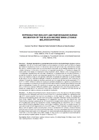 ON 23(4) 555-567.Pdf