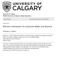 Efficient Framework for Quantum Walks and Beyond