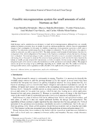 Feasible Microgeneration System for Small Amounts of Solid Biomass As Fuel