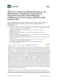 Hymenoptera: Eulophidae): Application of Integrative Taxonomy for Disentangling a Polyphenism Case in Eucalyptus Globulus Labill Forest in Chile