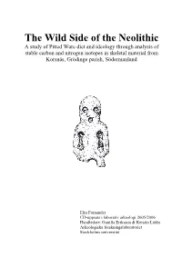 The Wild Side of the Neolithic