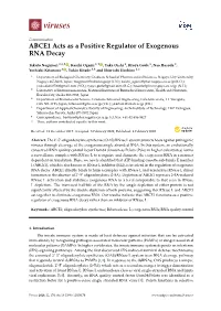 ABCE1 Acts As a Positive Regulator of Exogenous RNA Decay