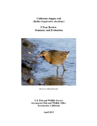 California Clapper Rail (Rallus Longirostris Obsoletus) 5-Year Review