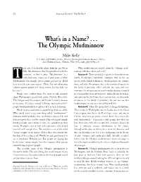 Fall 2000 Part A