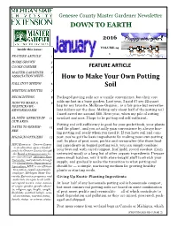 How to Make Your Own Potting Soil