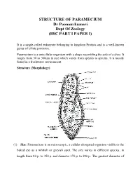 STRUCTURE of PARAMECIUM Dr Poonam Kumari Dept of Zoology (BSC PART I PAPER I)