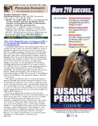 Just the Judge (Ire)