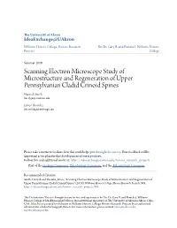 Scanning Electron Microscope Study of Microstructure and Regeneration of Upper Pennsylvanian Cladid Crinoid Spines Hannah Smith Hks15@Zips.Uakron.Edu