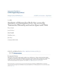 Similarity of Mammalian Body Size Across the Taxonomic Hierarchy and Across Space and Time Felisa A