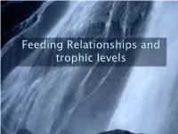 Feeding Relationships and Trophic Levels All Life Needs a Source of Energy