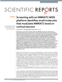 Screening with an NMNAT2-MSD Platform Identifies Small Molecules