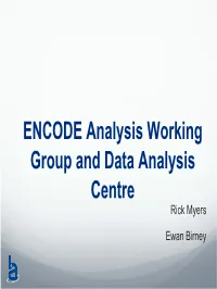 ENCODE Analysis Working Group and Data Analysis Centre Rick Myers