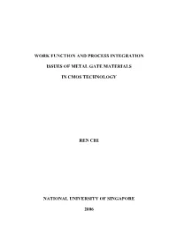 Work Function and Process Integration Issues of Metal