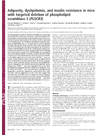 Adiposity, Dyslipidemia, and Insulin Resistance in Mice with Targeted Deletion of Phospholipid Scramblase 3 (PLSCR3)