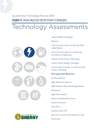 Fast-Spectrum Reactors Technology Assessment