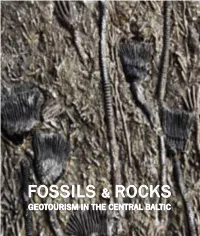 Fossils &Rocks