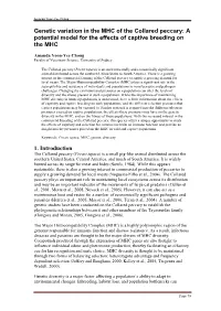 Genetic Variation in the MHC of the Collared Peccary: a Potential Model for the Effects of Captive Breeding on the MHC
