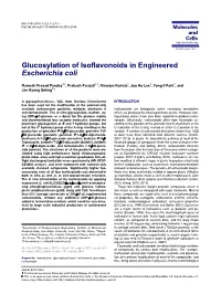 Glucosylation of Isoflavonoids in Engineered Escherichia Coli