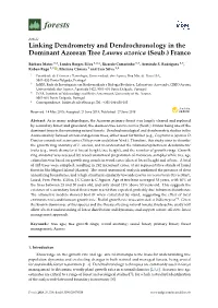 Linking Dendrometry and Dendrochronology in the Dominant Azorean Tree Laurus Azorica (Seub.) Franco