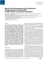 Neural Crest Development and Craniofacial Morphogenesis Is Coordinated by Nitric Oxide and Histone Acetylation