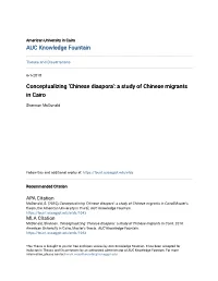 Conceptualizing 'Chinese Diaspora': a Study of Chinese Migrants in Cairo
